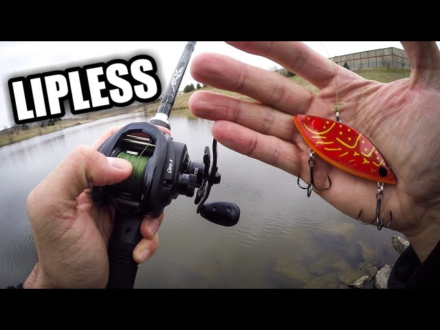 COTTON CORDELL Lipless Crankbait Fishing (Spring Pond Fishing