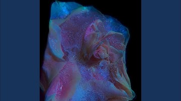 Sniper From The Side