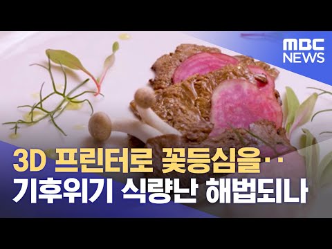 3D 프린터로 꽃등심을‥기후위기 식량난 해법되나 (2022.01.07/뉴스투데이/MBC)