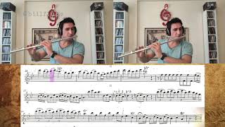 Sechs Sonaten Im Kanon Vivace Ofb98 - Georg Philipp Telemann - Canon No.1 Scolli̇ng Billflute