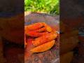 Satisfying Mango Cutting ASMR | Mango Masala Challenge#shorts #spicy #asmr #aam