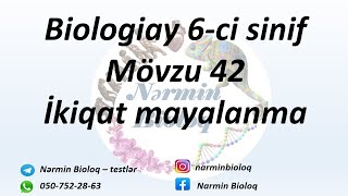 Biologiay 6-ci sinif Mövzu 42 İkiqat mayalanma