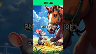 쥐띠 궁합&amp;상극#쥐띠궁합 #쥐띠상극 #궁합 #운세 #상극 #mbti