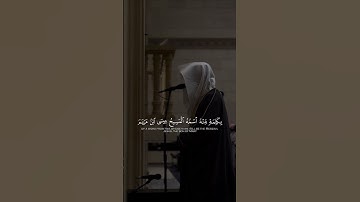القارئ محمد أباالحسن || تلاوة من سورة آل عمران #محمد_أبالحسن #اكسبلور #تيك_توك