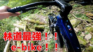 「もう林道行くのにオフロードバイクなんていらない」東京に眠る廃道化した林道を最強のアイテムe-bikeで探索しに行く（Cyrusher Asuka）