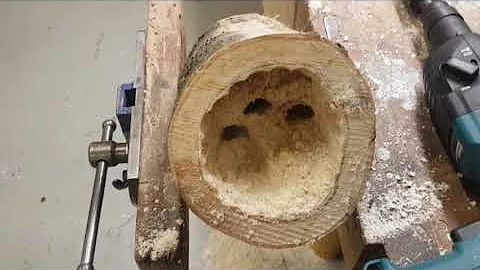 Comment creuser dans un tronc d'arbre ?