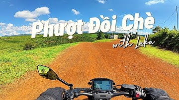 Tọa Độ Hot Bảo Lộc: Phượt Đồi Chè Thơ Mộng - Ghé Quán Cafe View 