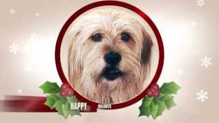 ANCHORMAN 2: THE LEGEND CONTINUES - "Baxter Holiday Greeting"