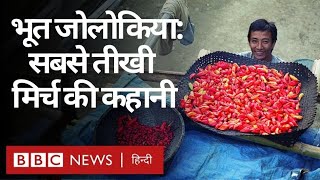 Bhoot Jolokia या Ghost Pepper या Raja Mirch, भारत की सबसे तीखी मिर्ची पूरी कहानी (BBC Hindi)