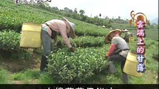 台灣農民力系列推廣-有機無毒好食源