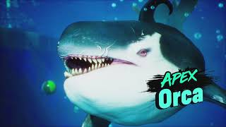 Maneater Boss Fight: Apex Orca