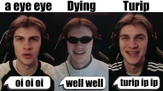 Oi Oi Oi A Eye Eye Meme Vs Tulip Vs Midnight Vs Dying