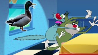 हिंदी Oggy and the Cockroaches 😱 बत्तख का हमला Hindi Cartoons for Kids