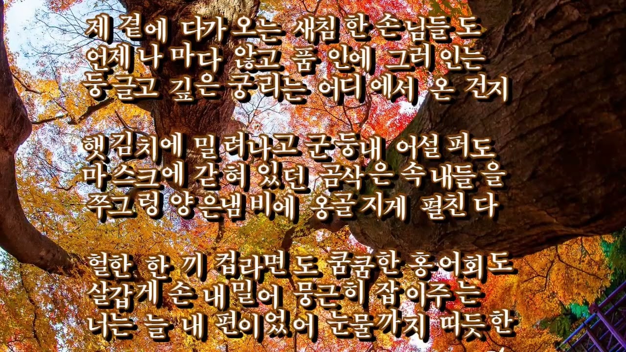 정용국 묵은지 사랑