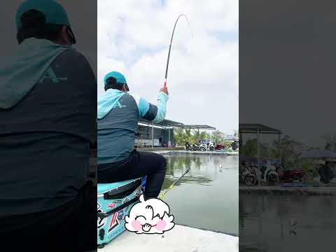 BỐC CÁ NHẸ NHÀNG CÙNG HANDING TRUY KÍCH | VIETNAM FISHING TV