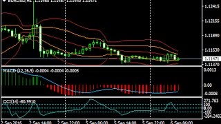 10 Pips A Day With CCI & MACD Forex Scalping Strategy - How To Trade Using Forex Strategies