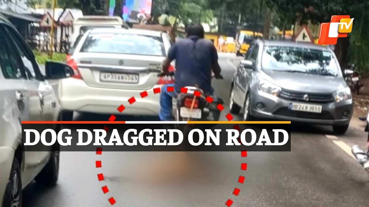 Dog tied to bike, dragged along road in viral video; case filed | OTV ...