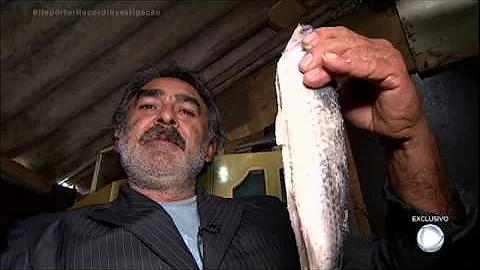 Quantas vezes se deve alimentar os peixes?