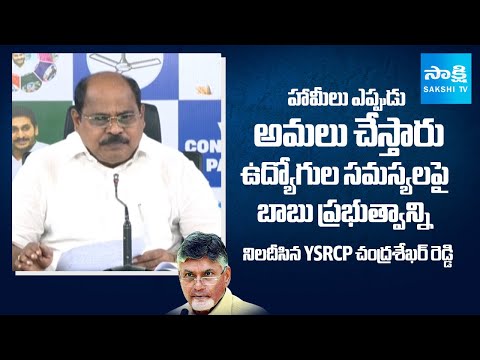YSRCP Chandrashekhar Reddy Slams Chandrababu Over Govt Employees Problems | SakshiTV - SAKSHITV