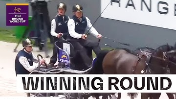 Another day, another victory for Boyd Exell! 🏆 |  FEI Driving World Cup™ Geneva 2025