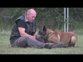 Agressivité Berger Malinois