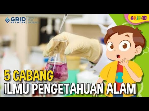 Video: Apa itu ilmu bumi lapangan?