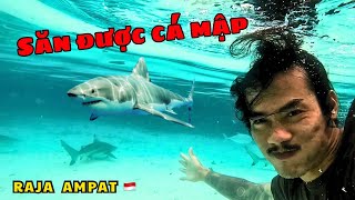 Encountering sharks in the Indonesian sea 🇮🇩