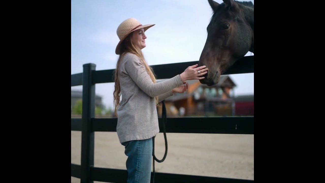 Are you Confident your Horses are Safe?