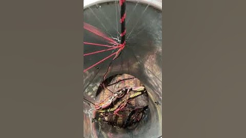 High-Speed Automated Machine Weaving Electronic Wiring Harnesses