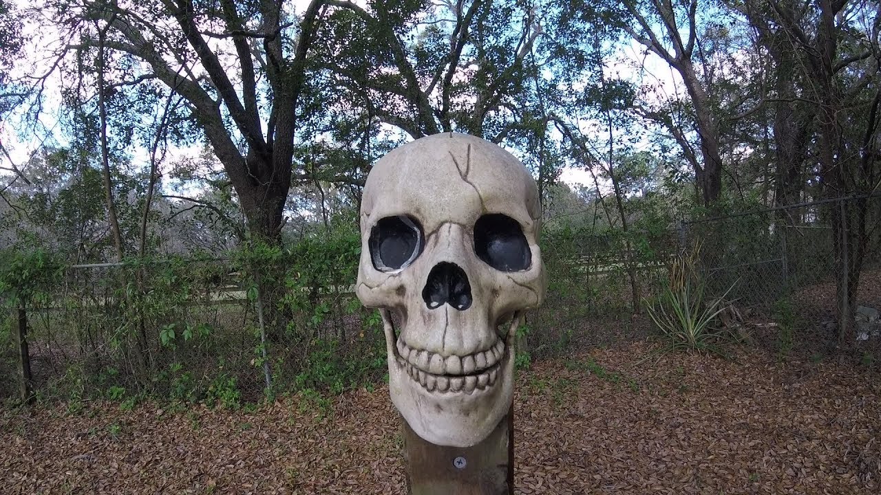 Options For Varroa Mites