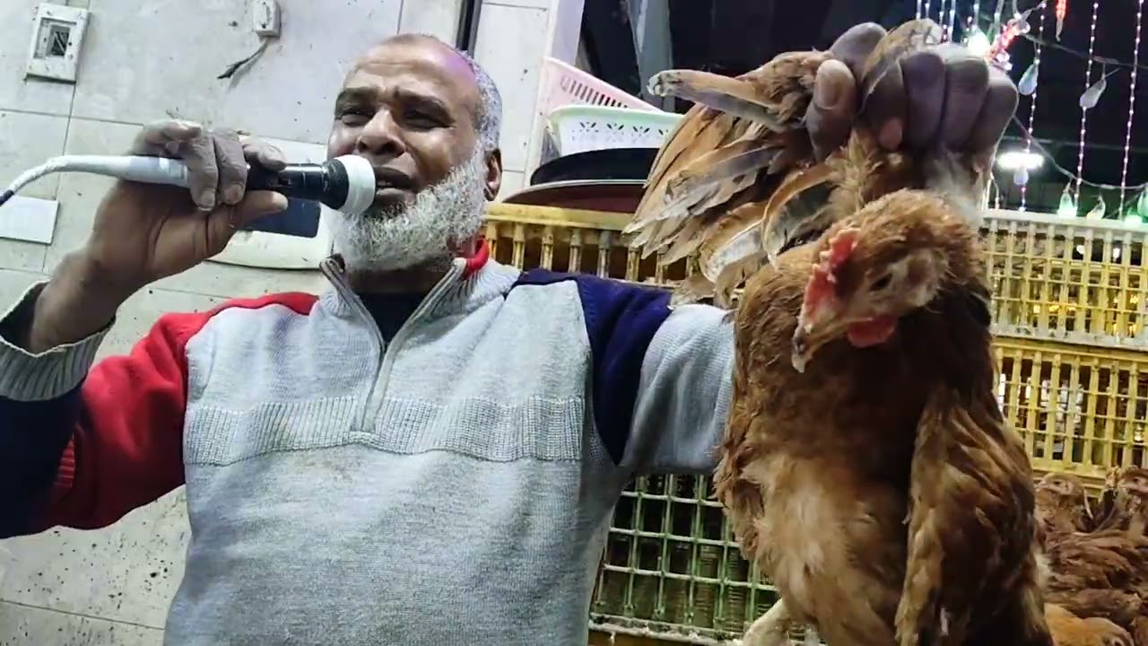 تعالوا نشوف عروض 15 رمضان عند القرش للدواجن