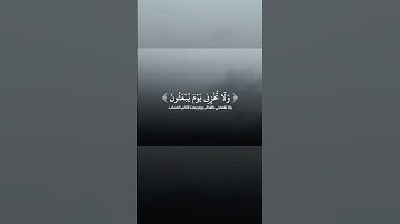 عاصم اللحيدان #تلاوة_خاشعة من#سورة_الشعراء #quran #اكسبلور # #القرآن_الكريم #عاصم_اللحيدان #رمضان