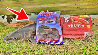 Best Catfish Bait Challenge! (Hotdogs VS Dough Bait!)