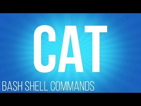 BASH Shell commands cat ( commands for linux )