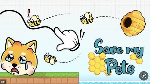 save pet unity 3d source code