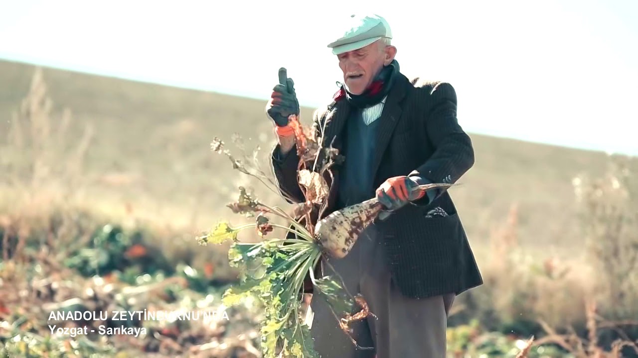 Yozgat- Sarıkaya  Belgeseli (#Benimmemleketim)