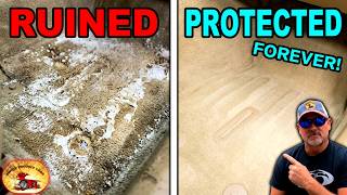 In 3 Minutes Your Carpet Will Look NEW FOREVER!