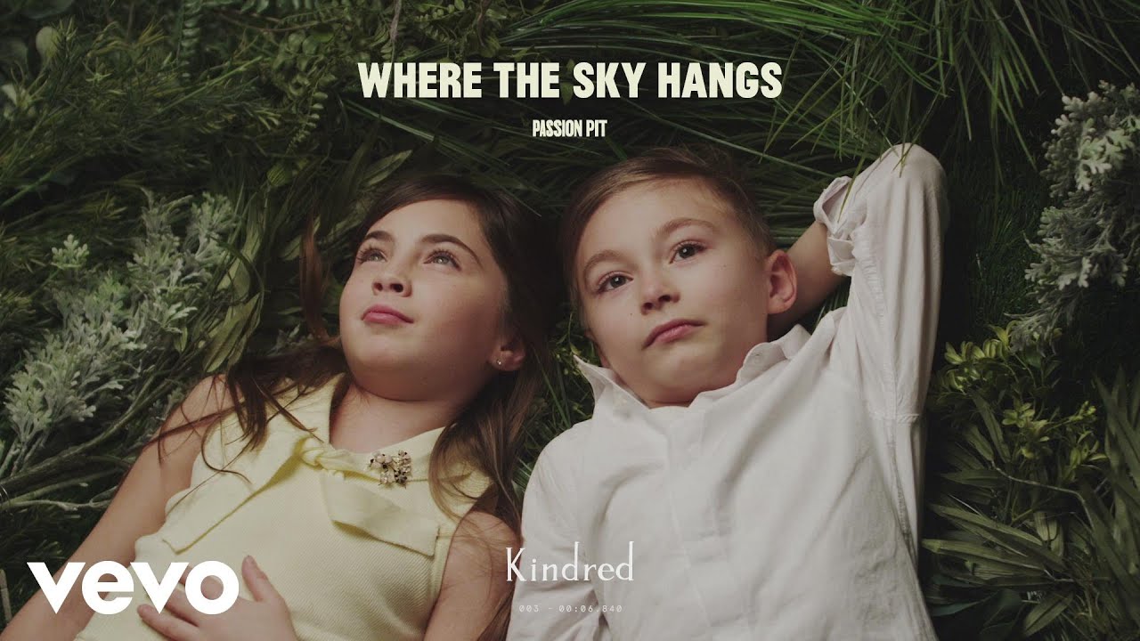 Passion Pit - Where the Sky Hangs (Audio)