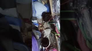 Ramzan Hi Kch Sahrm Howti Hi Kch حیا