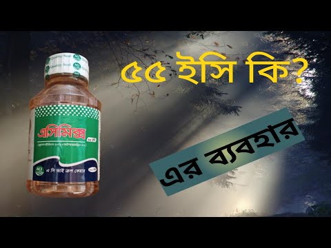 ভিডিও: ইসি শিক্ষক কি?