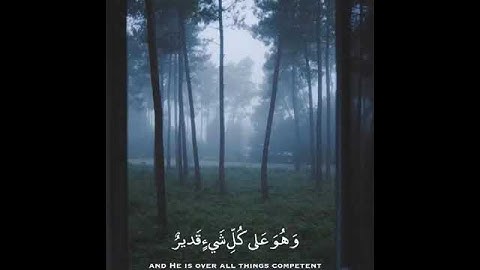 حالات واتس اب قران بصوت القارئ بيشه وا قادر الكردي تلاوة خاشعة😴❣حالات واتس اب دينية ارح سمعك