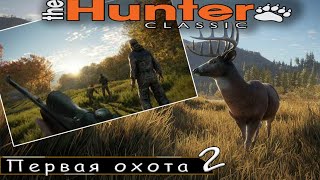 Первая охота 2 попытка, игра с подписчиками | The Hunter classic | Первая охота 2 попытка, игра с подписчиками | The Hunter classic |