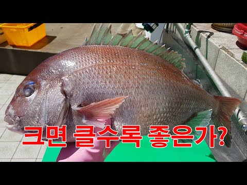 크면 클수록 <strong>좋은가</strong>?