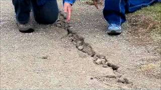 SPARK contest  hee haw