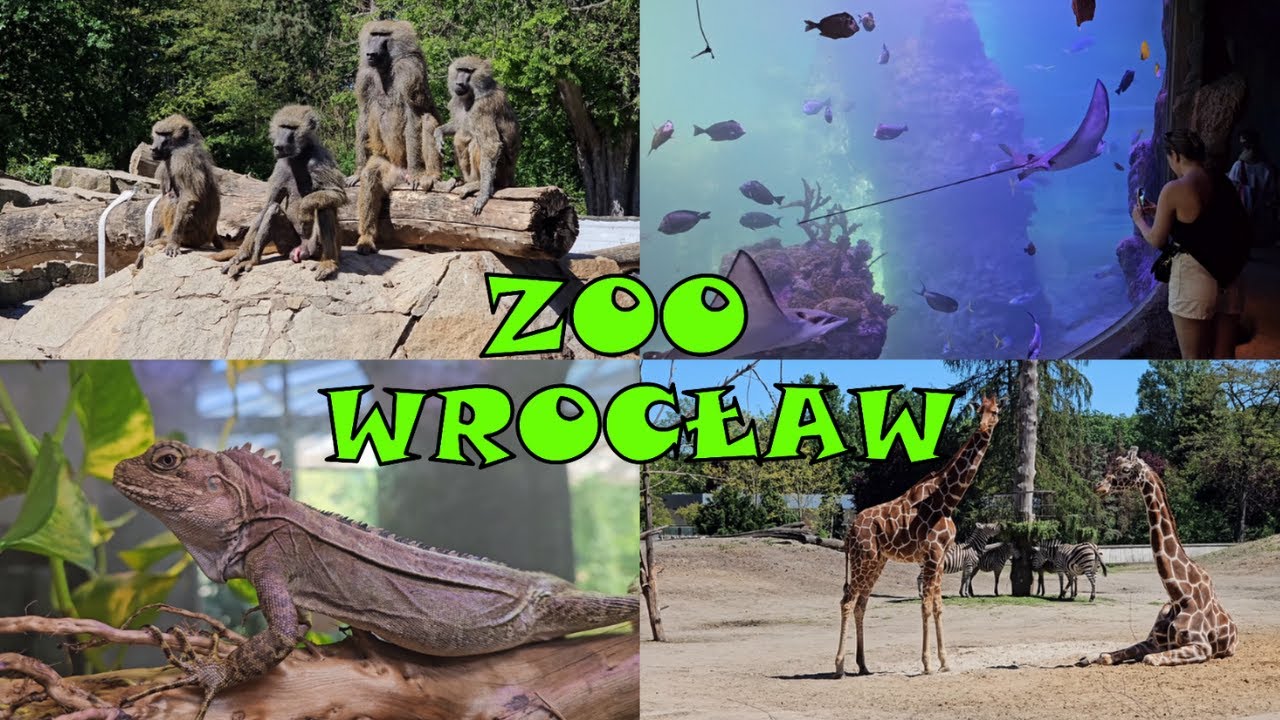 ZOO WROCŁAW
