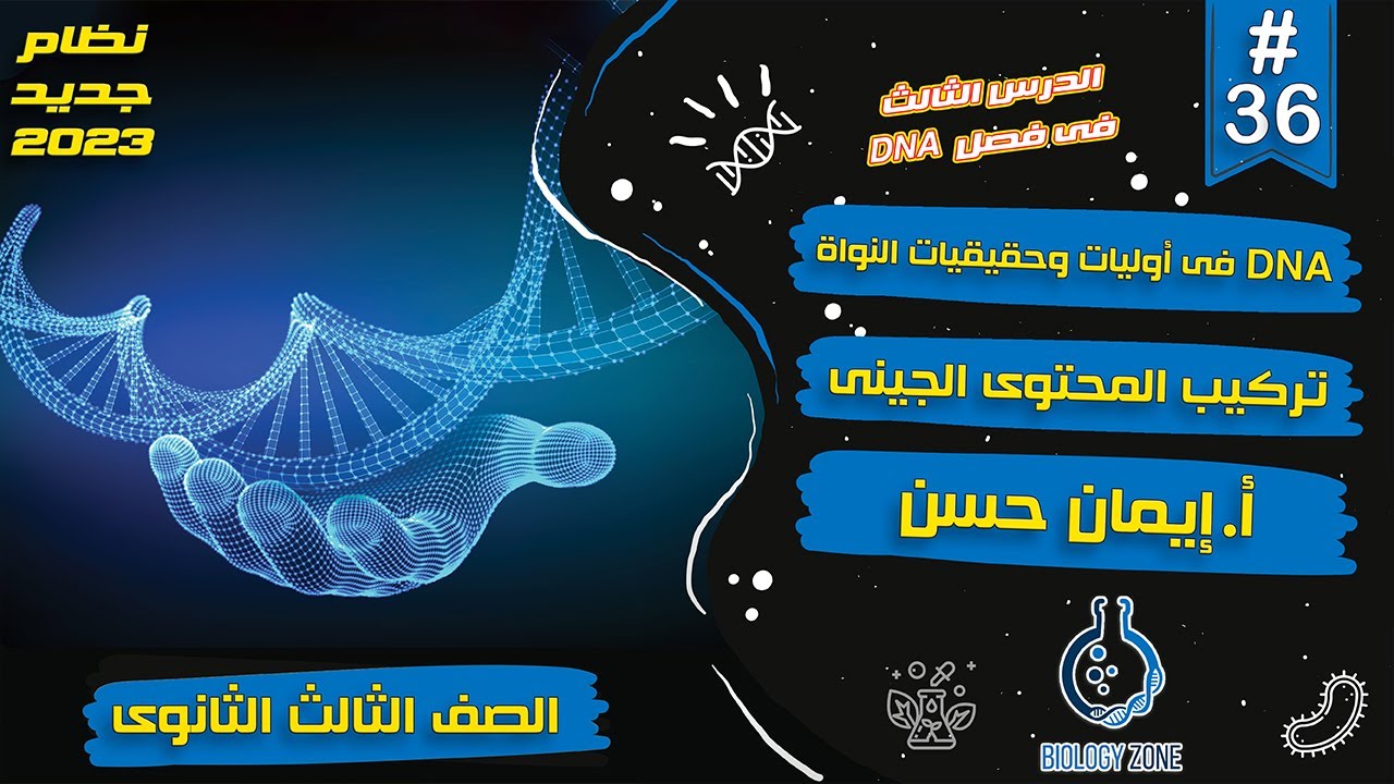 #36 | شرح DNA فى أوليات وحقيقيات النواة وتركيب المحتوى الجينى | احياء تالته ثانوى 2023 | إيمان حسن 🧬