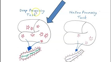 Aligning study practices with brain function: The hippocampus-cortex connection