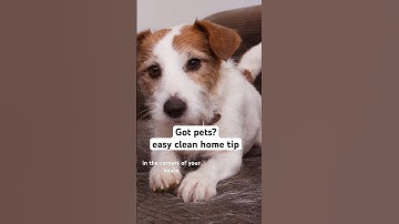 De strijd is voor 85% voorbij! 🎉 #schoonmaaktips #schoonmaakmotivatie