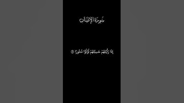 ويطوف عليهم ولدان مخلدون | سورة الإنسان