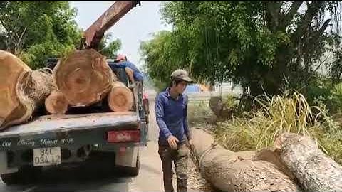 Cần cẩu UNIC A360k , trạm nhẹ mũi em trai bật người.